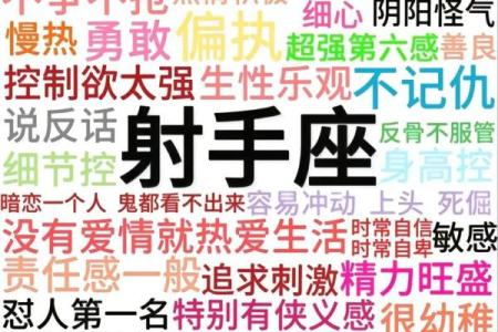 什么星座最疼射手座