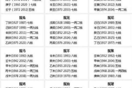 用生辰八字算命