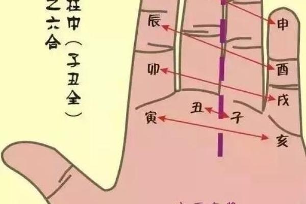 一掌算命 一掌算命