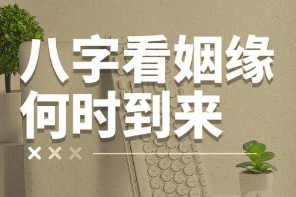 看姻缘八字免费 什么八字婚姻顺利