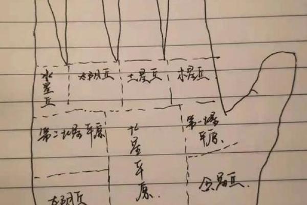 看手相算命:第一课 手相概论 看手相算命:第一课 手相概论