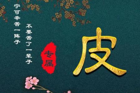 皮姓女孩名字大全-皮姓女孩起名字大全-皮姓名字大全姓名