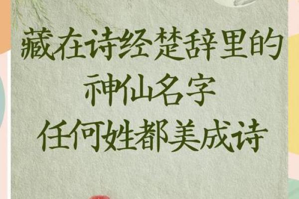 姓楚的名人-姓名学-华易算命网姓名