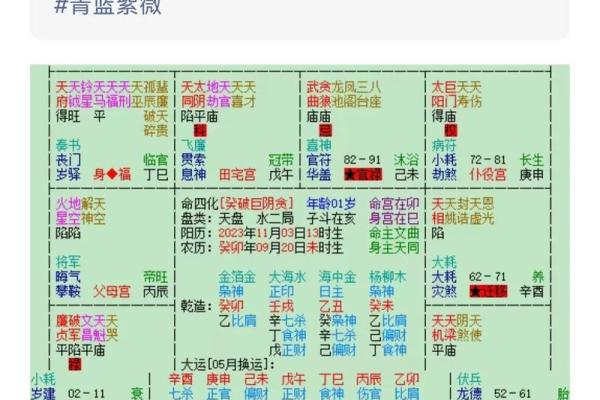 紫薇斗数不成命格 紫薇斗数不成命格