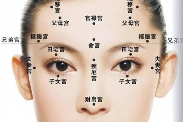 姚笛八字面相详解，命理特点揭秘