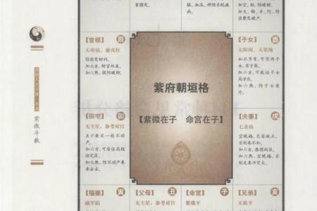 紫薇斗数北斗系列都是什么