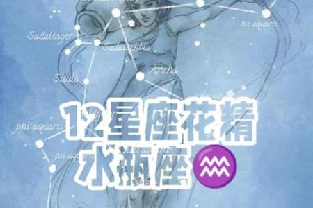 水瓶座最放不下的星座