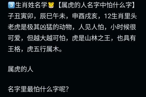 下午2点出生的属虎男孩起什么名，宜用什么字姓名