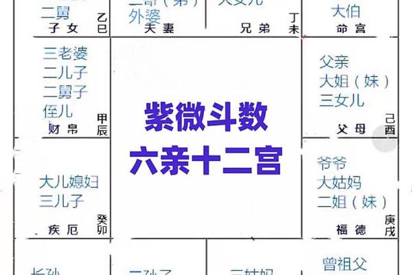 紫薇斗数看爷爷寿命 紫薇斗数看爷爷寿命