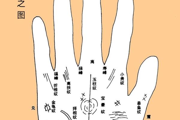 手相算命，从手相看你聪明度有多高？