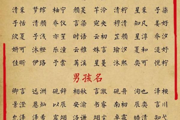 成姓女孩名字大全-成姓女孩起名字大全-成姓名字大全姓名