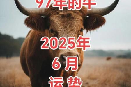 凤凰卫视十二星座牛年运势