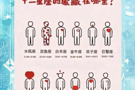 金牛女狮子男星座运势分析