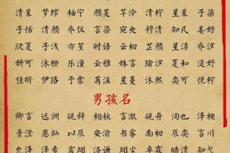 成姓女孩名字大全-成姓女孩起名字大全-成姓名字大全姓名