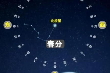 遮天紫薇星域和北斗哪个好