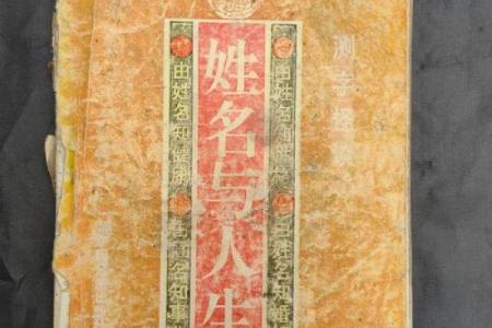 姓名与人生免费测试打分黄代语