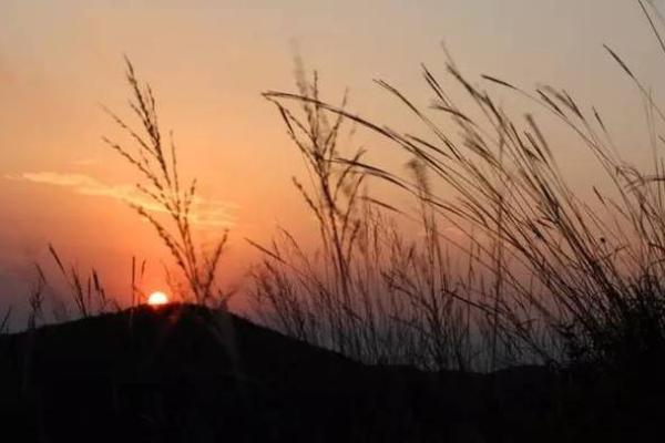 八字轻的人 八字轻的人