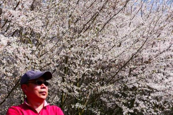 2019年3月26号申时出生的男孩要怎么起名字姓名 2019年3月26号申时出生的男孩要怎么起名字姓名