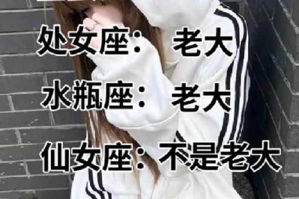 十二星座谁适合当歌手