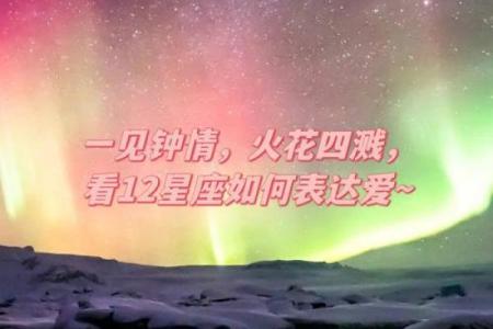 12星座一见钟情的浪漫背后