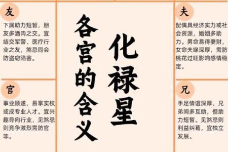 飞星紫微斗数原旨