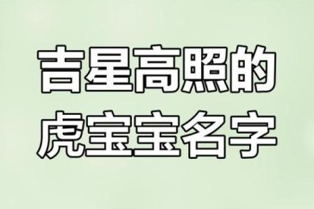 凌晨2点出生的属虎男孩如何起名，宜用什么字姓名