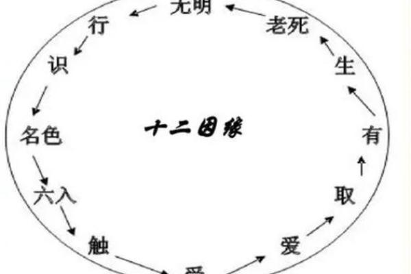 佛教讲解算命法 佛教讲解算命法