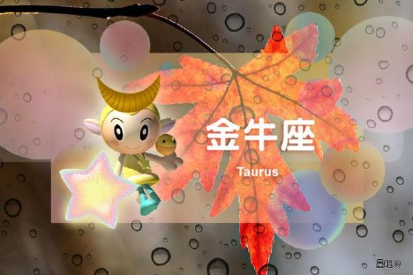 11月6日是什么星座 11月6日是什么星座