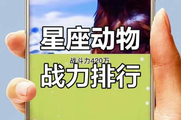 12星座里面哪一个星座战斗力最强