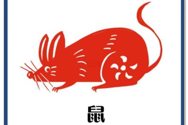 凌晨4点出生的属鼠男孩怎么样取名字姓名