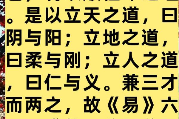 八字象法：观象系辞，圣人则之