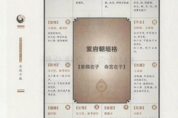 紫薇斗数免费算命大全