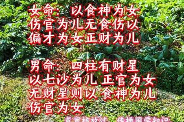 免费算命 异性缘很好的女命有哪些