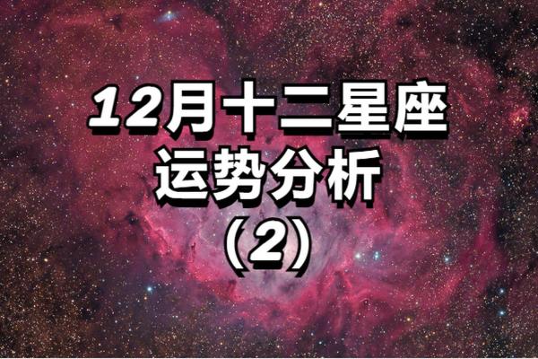 12月底了各星座的运势