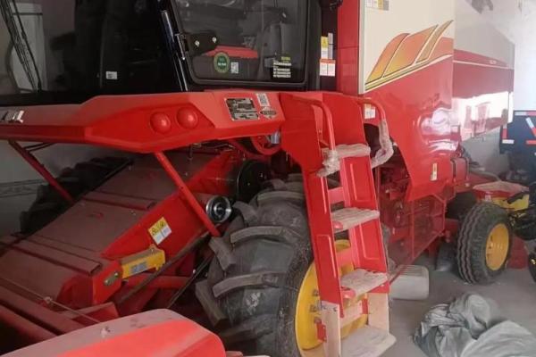 什么样的八字能成为鲜肉收割机