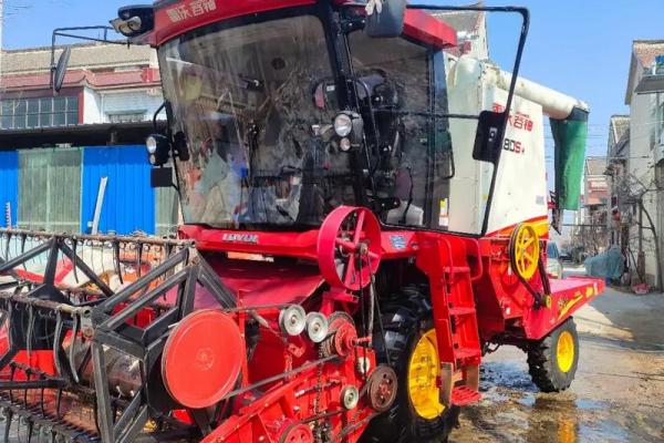 什么样的八字能成为鲜肉收割机