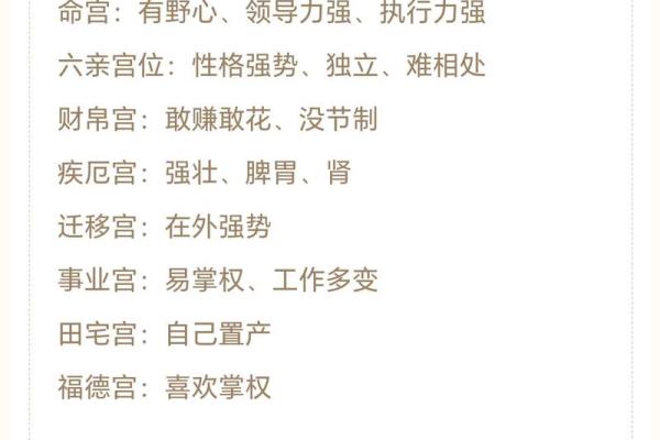 紫薇斗数无命格 紫薇斗数无命格