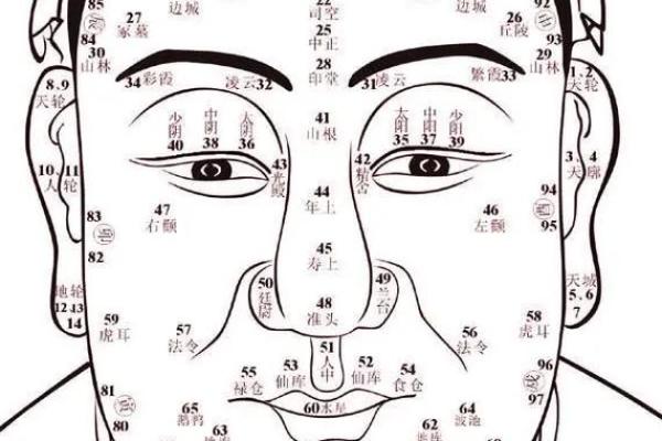 相面八字眉的面相解析与注重方法详解 相面八字眉的面相解析与注重方法详解