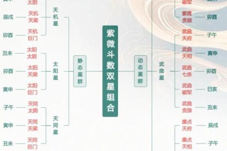 学会紫薇斗数后