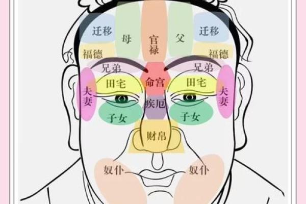 脸上胎记算命图解 脸上胎记算命图解