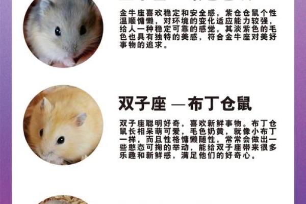 鼠年的星座有哪些属相 鼠年的星座有哪些属相