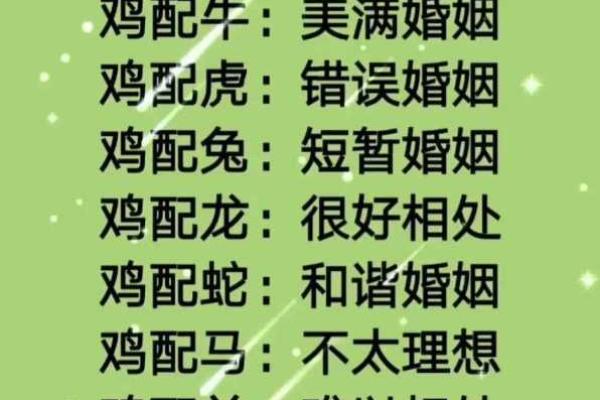 93鸡95猪八字合不合 比较相合的一对