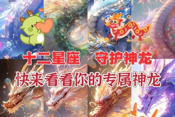 十二星座专属神龙
