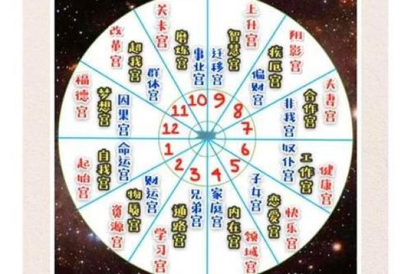 紫薇斗数算晚年