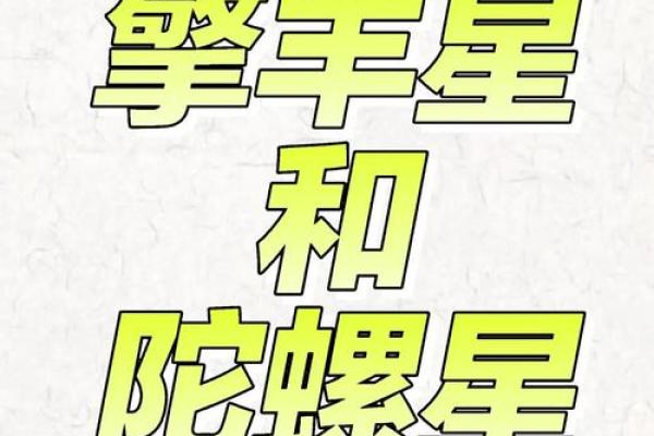 babyvv紫薇斗数吧