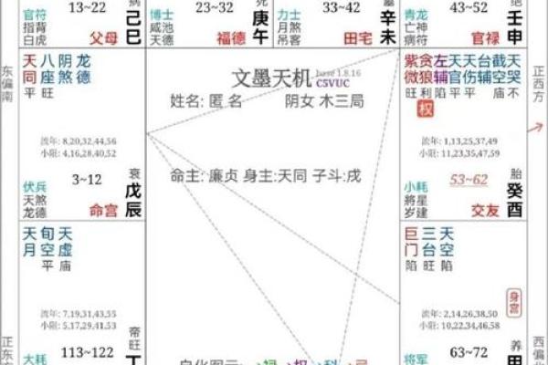 命主禄存在紫薇斗数代表什么 命主禄存在紫薇斗数代表什么
