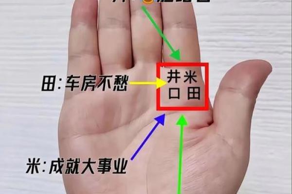 看手相算命：第四课 论事业命运