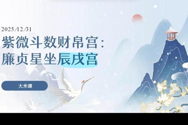 紫薇斗数财帛星 紫薇斗数财帛星