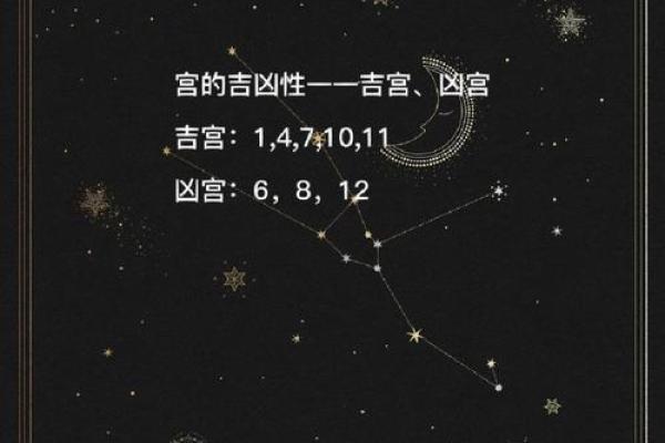 占星骰子测试免费 骰子占星在线测试 占星骰子测试免费 骰子占星在线测试