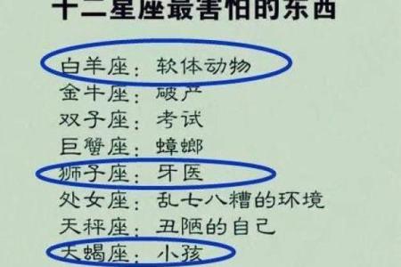 12星座的男生最害怕哪种昆虫